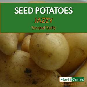 Jazzy Scottish Seed Potatoes Xmas 1Kg