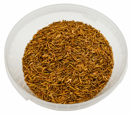 Johnston & Jeff Bugs, Grubs & Worms 1.2kg with 25% Extra - 1.6kg - image 2
