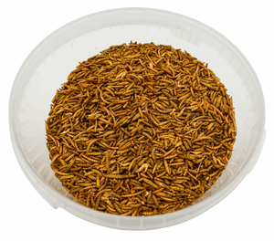 Johnston & Jeff Bugs, Grubs & Worms 1.2kg with 25% Extra - 1.6kg - image 2