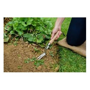 Kent & Stowe Stainless Steel Daisy Grubber