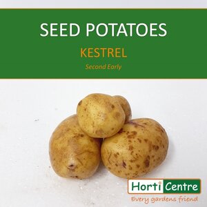 Kestrel Scottish Seed Potatoes 1.5Kg