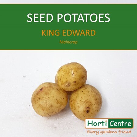 King Edward Scottish Seed Potatoes 1.5Kg