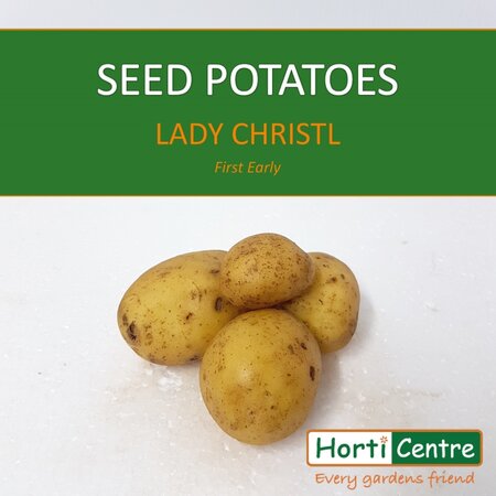 Lady Christl Scottish Seed Potatoes 20Kg