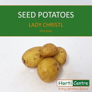 Lady Christl Scottish Seed Potatoes 20Kg