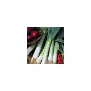 Leek Jolant Kings Seeds