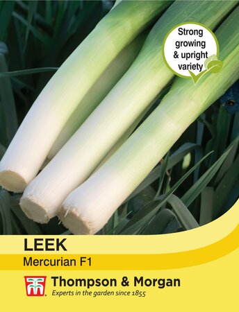 Leek - Mecurian - Thompson and Morgan Seed Pack - image 1
