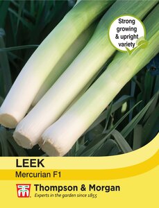 Leek - Mecurian - Thompson and Morgan Seed Pack - image 1