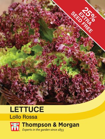 Lettuce - Lollo Rossa - Thompson and Morgan Seed Pack - image 1