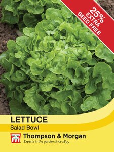 Lettuce - Salad Bowl - Thompson and Morgan Seed Pack - image 1