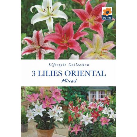 Lilies Oriental Mixed 3 Bulb Pack