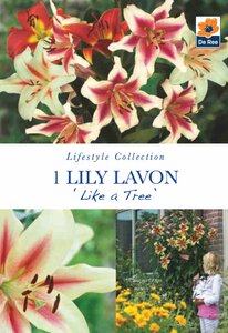 Lily Lavon 'Like A Tree' 1 Bulb Pack