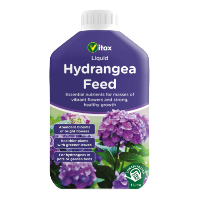 Liquid Hydrangea Feed 1L