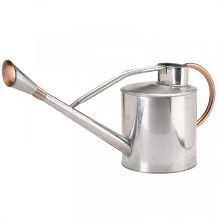 Long Reach Watering Can 9L Galvanised Steel