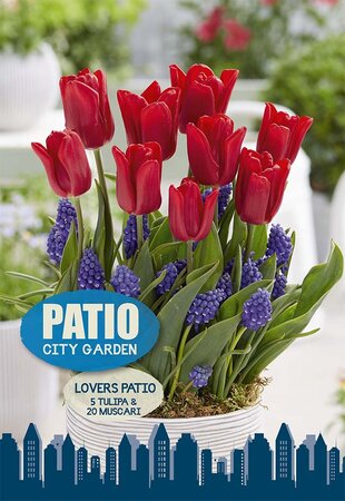 Lover's Patio 25 Bulb Pack