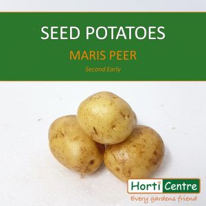 Maris Peer Scottish Seed Potatoes Xmas 1Kg