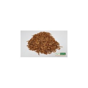 Mealworm 12.55Kg