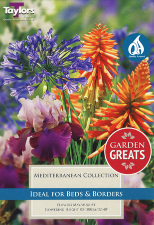 Mediterranean Collection - 5 Bulb Pack