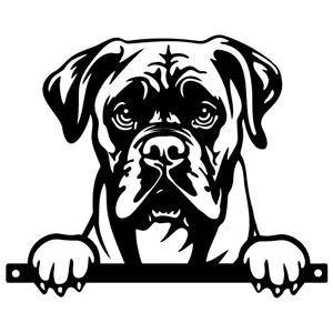 Metal Peeking Dog Silhouette - Boxer