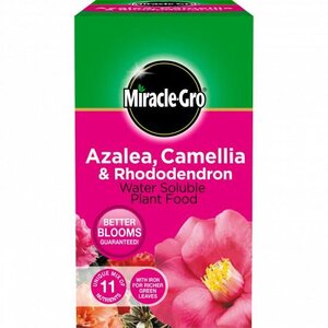 Miracle Gro Ericaceous Feed 1Kg