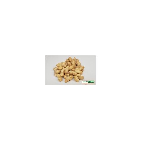 Monkey Nuts 900G