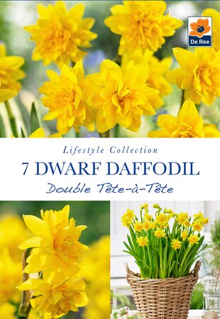 Narcissi - Double Tete a Tete - 7 Pack