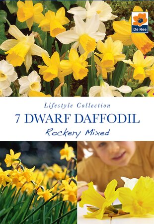 Narcissi - Rockery Collection - 7 Bulb Pack