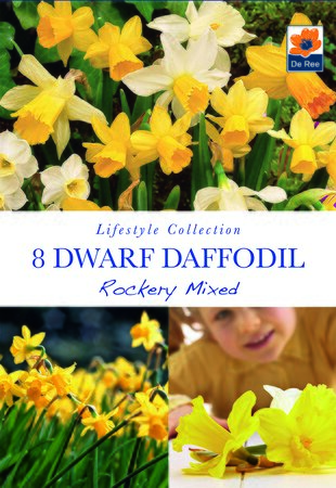 Narcissi - Rockery Collection - 8 Bulb Pack