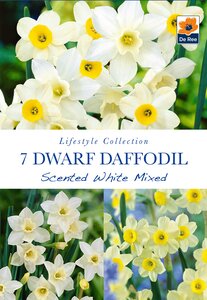 Narcissi - Scented White Mixed - 7 Pack