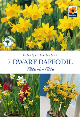 Narcissi - Tête-A-Tête - 7 Bulb Pack