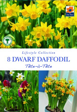 Narcissi - Tête-A-Tête - 8 Bulb Pack