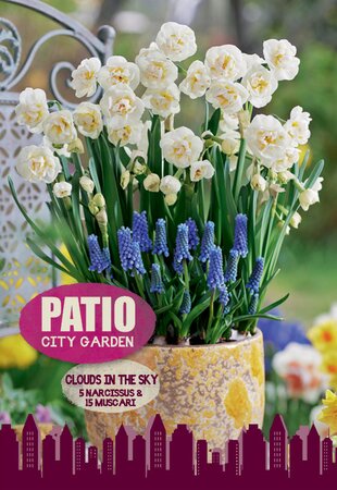 Narcissus & Muscari Mix - Clouds in the Sky - 20 Bulb Pack