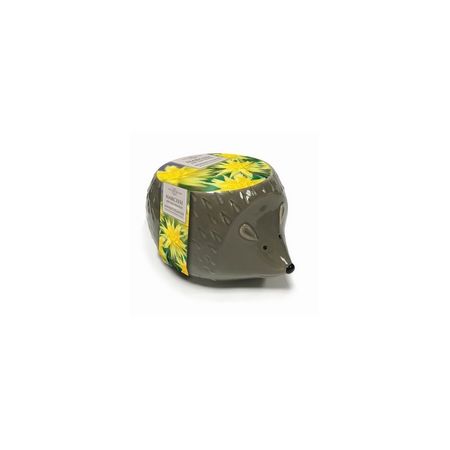 Novelty Hedgehog Planter