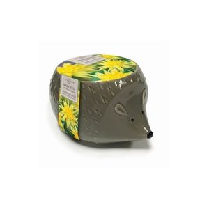 Novelty Hedgehog Planter
