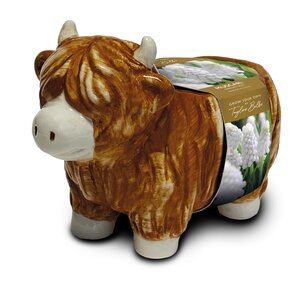 Novelty Highland Cow Muscari Planter Gift Set