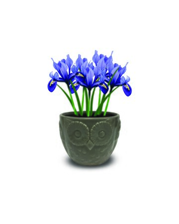 Novelty Owl Iris Planter - image 2
