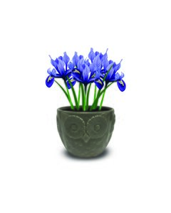 Novelty Owl Iris Planter - image 2