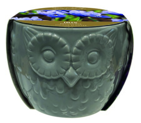 Novelty Owl Iris Planter - image 1