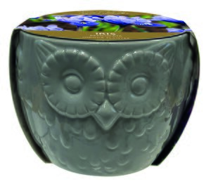 Novelty Owl Iris Planter - image 1