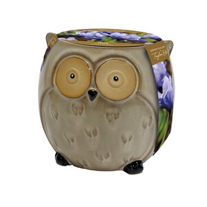 Novelty Owl Iris Planter