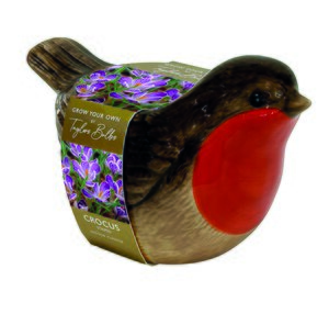 Novelty Robin Crocus Planter Gift Set