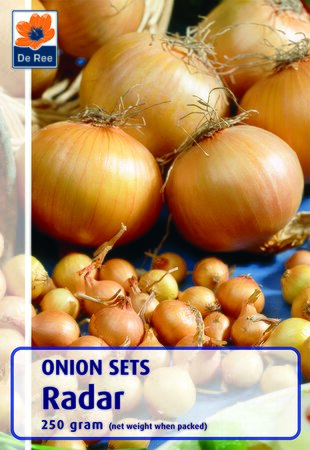 Onion Set - Radar - 250G