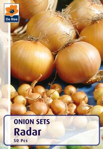 Onion Set - Radar - 50 Bulb Bag