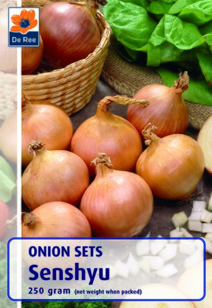 Onion Set - Senshyu - 250G