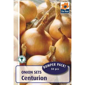 Onion Sets Centurion 50 Bulbs