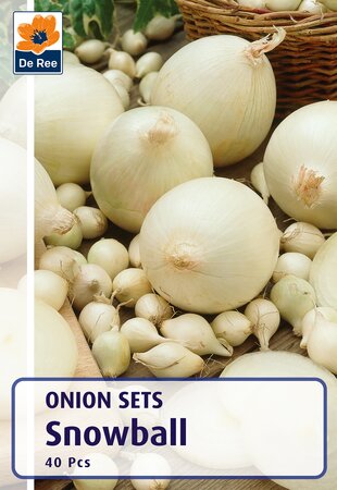 Onion Sets - Snowball - 40 Bulb Bag