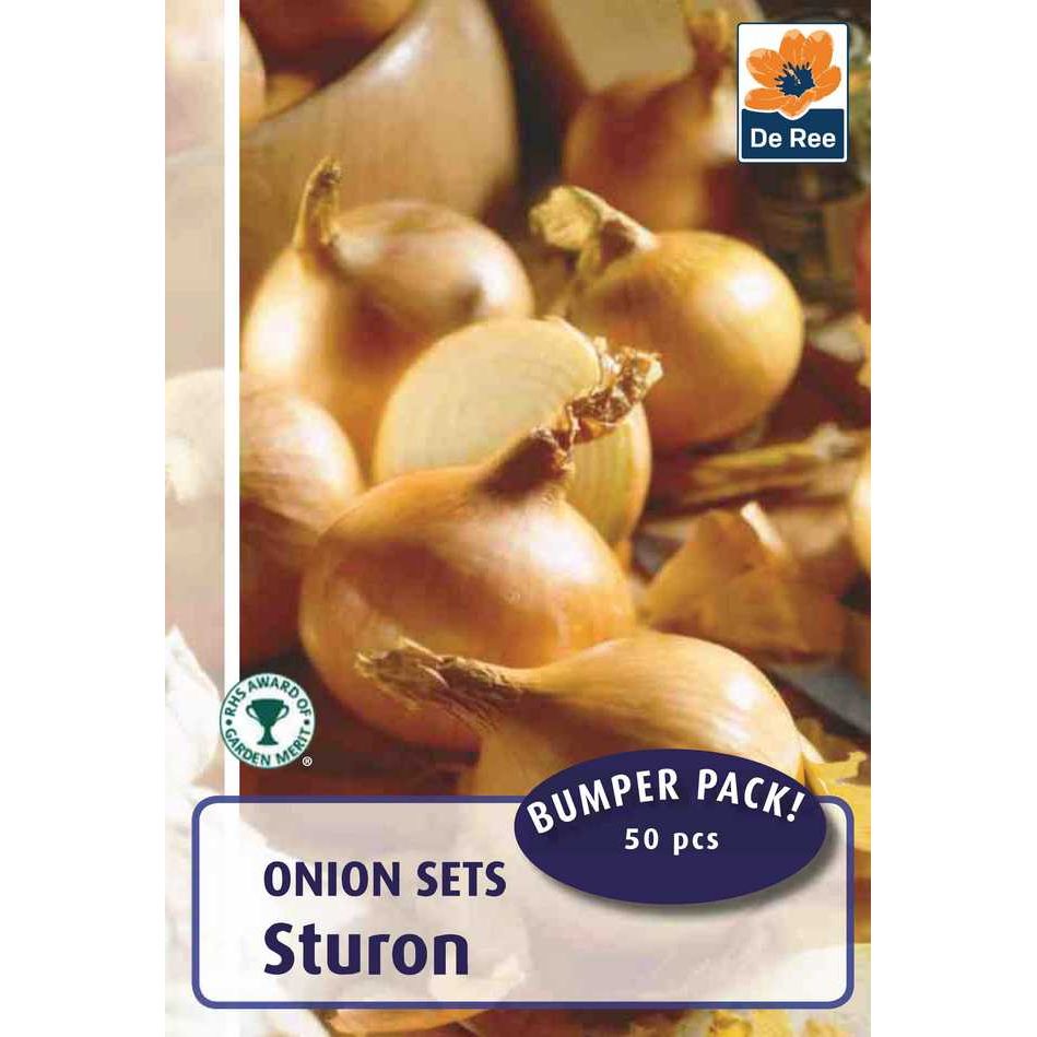 Onion Sets Sturon 50 Bulbs Horticentre Your Family Run Garden