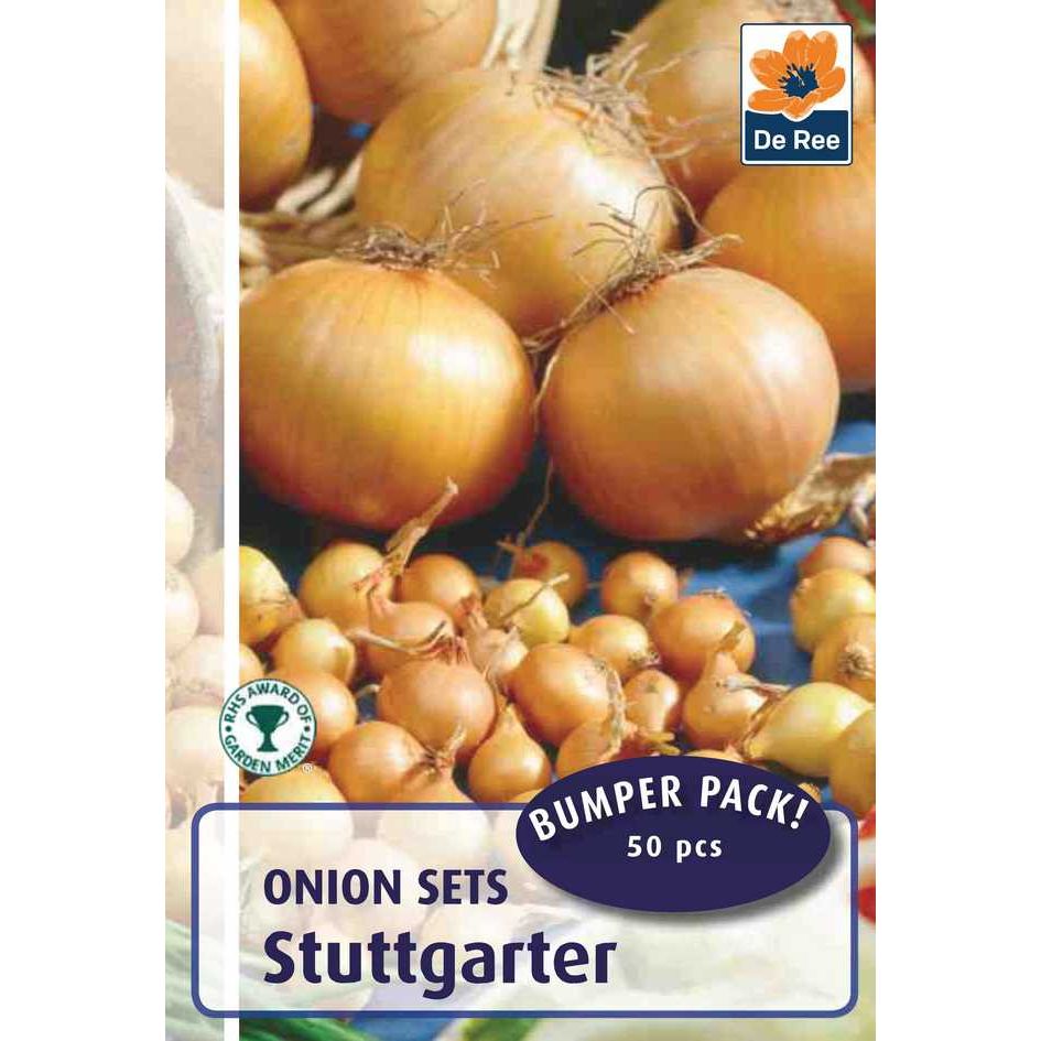 Onion Sets Stuttgarter 50 Bulbs Horticentre Your Family Run Garden