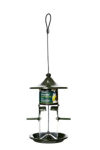 Oriental Seed Feeder