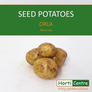 Orla Scottish Seed Potatoes 1.5Kg