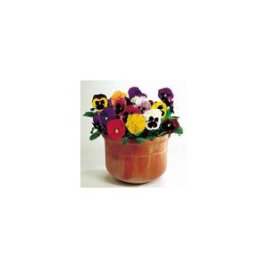 Pansy Large Flower Mix - Kings Seeds